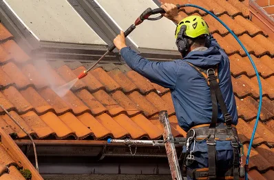 Démoussage et hydrofuge de toiture à Picherande